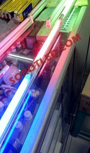 Lampu T5 8watt Neon Tazen Warna Warni
